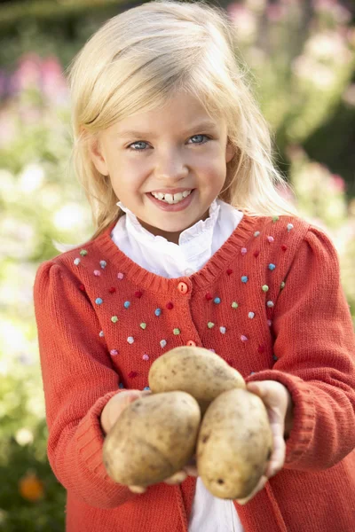 Mladá dívka pózuje s bramborami v zahradě — Stock fotografie