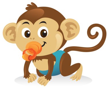 Baby Monkey With Pacifier