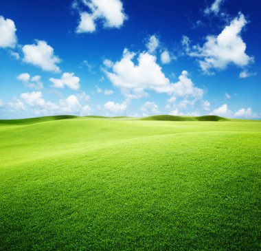 Green field and blue sky clipart