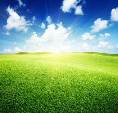 Green field and blue sky clipart