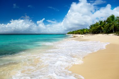 Beach of Catalina island, Dominican republic clipart