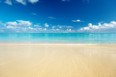 Sand of beach caribbean sea
