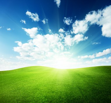 Field of grass and perfect sunset sky clipart