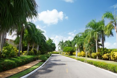 tropikal Bahçe Road