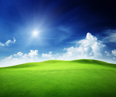 Field of grass and perfect sky clipart