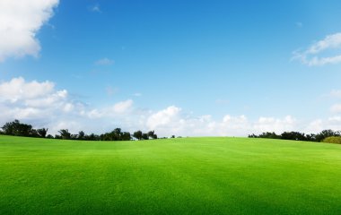 Green field and trees clipart