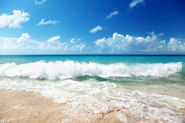 Морем і піском — стокове фото