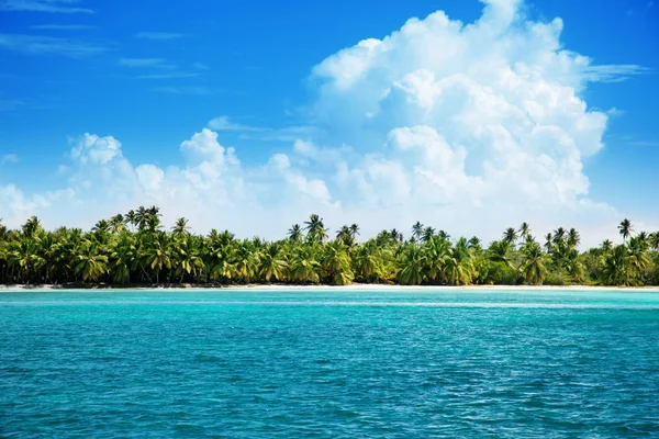 Oceaan en kokospalmen — Stockfoto
