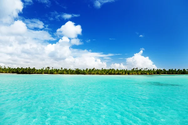 Caribbean sea and palms — Stock Photo, Image