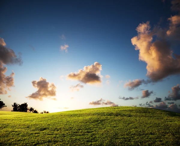 Campo de hierba y puesta de sol — Foto de Stock