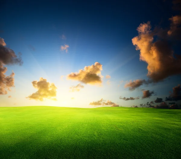 Feld von Gras und Sonnenuntergang — Stockfoto