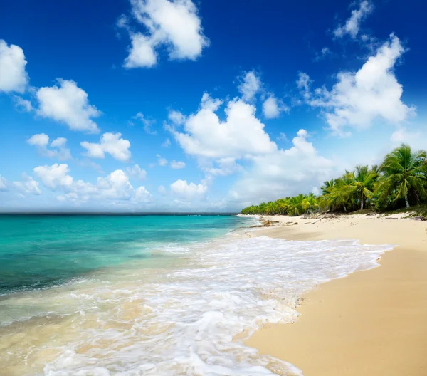 Strand van catalina island, Dominicaanse Republiek — Stockfoto