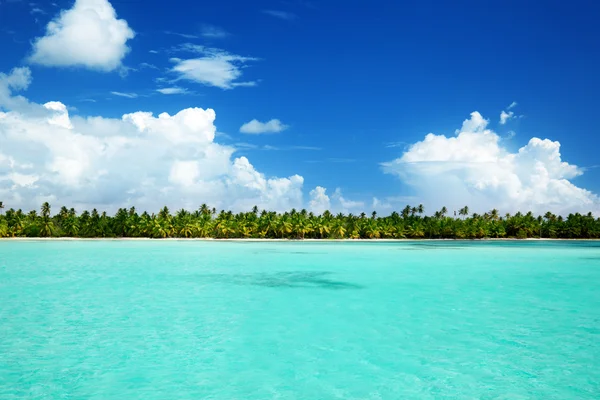 Palms and caribbean sea — Stock Photo, Image