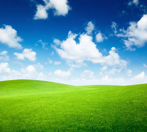 Campo de grama verde e céu azul — Fotografia de Stock