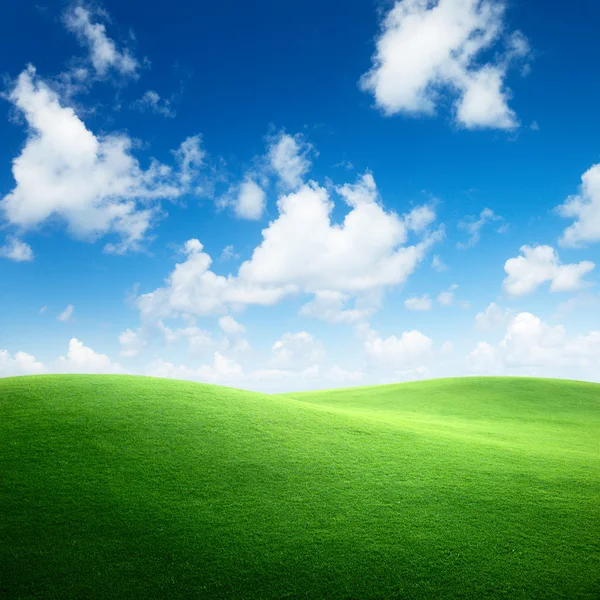 Fält av grönt gräs och blå himmel — Stockfoto