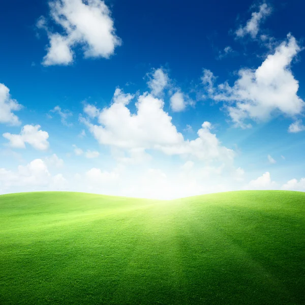 Campo de hierba verde y cielo azul —  Fotos de Stock