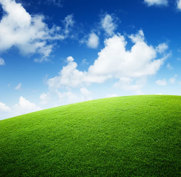 Pole zielonej trawy i błękitne niebo — Zdjęcie stockowe