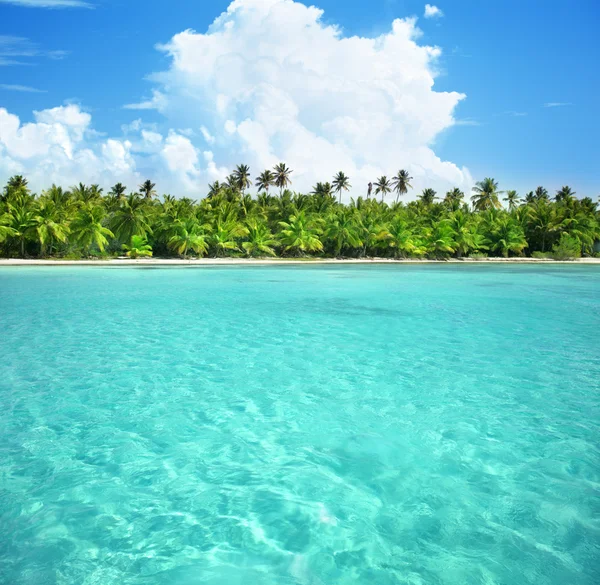 Oceaan en kokospalmen — Stockfoto