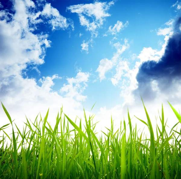 Grass and cloudy sky — Stock Photo, Image