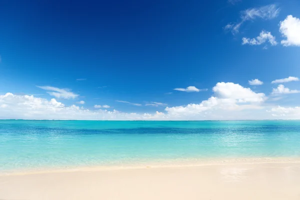 Sandstrand karibiska havet — Stockfoto
