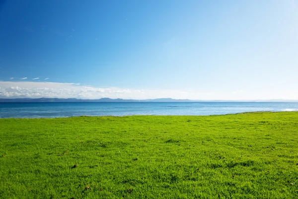 Morze Karaibskie i pole trawa zielony — Zdjęcie stockowe