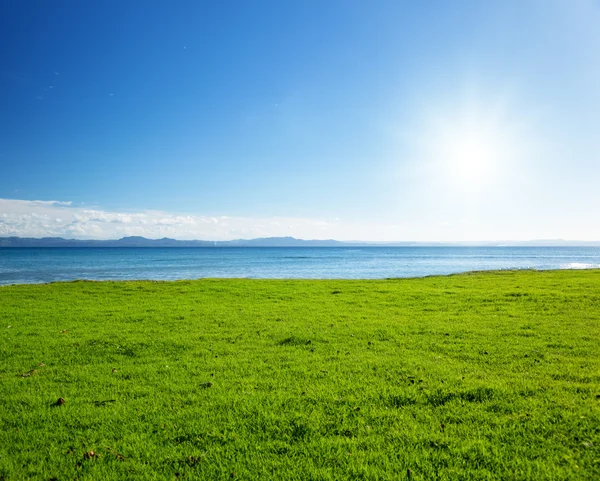 カリブ海の海と緑の芝生のフィールド — ストック写真