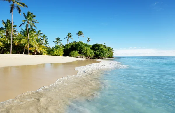 Mar das Caraíbas e palmas — Fotografia de Stock