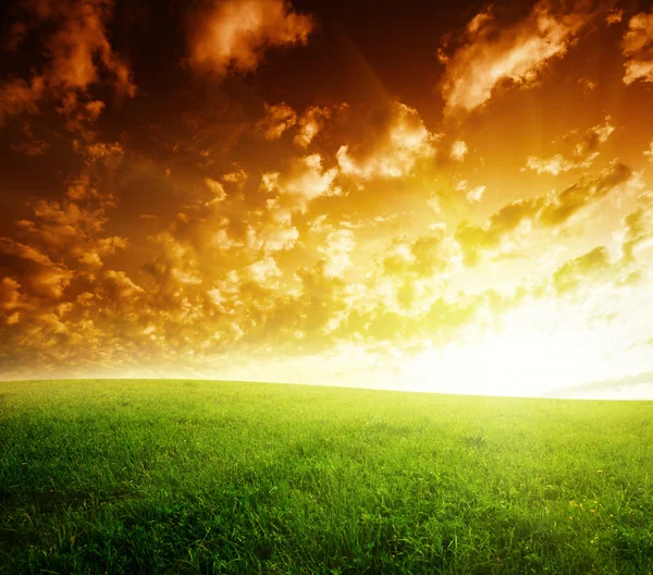 Campo de grama e pôr do sol — Fotografia de Stock