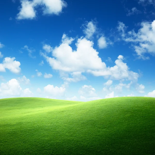 Veld van groen gras en blauwe lucht — Stockfoto