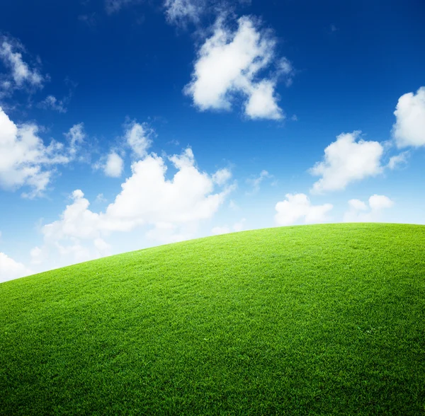 Fält av grönt gräs och blå himmel — Stockfoto