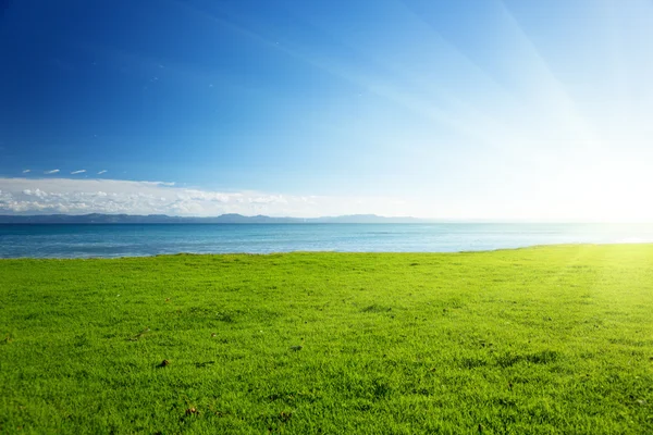Morze Karaibskie i pole trawa zielony — Zdjęcie stockowe