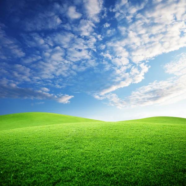 Поле травы и совершенное небо заката — стоковое фото