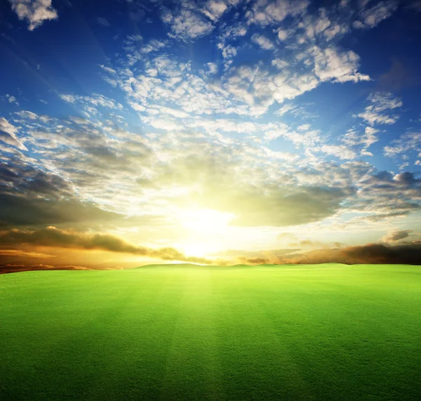草と完璧な夕焼け空のフィールド — ストック写真