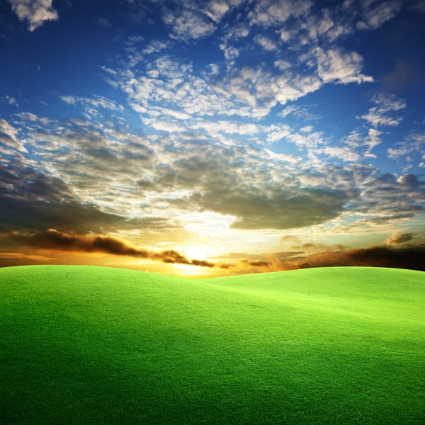 Field of grass and perfect sunset sky — Stock Photo, Image