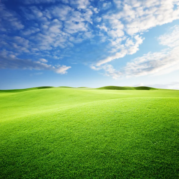 Zielone pole i błękitne niebo — Zdjęcie stockowe