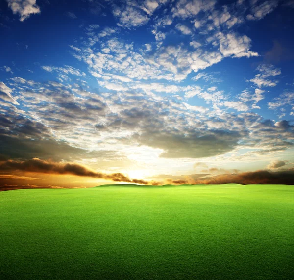 Pole trawa i doskonałe niebo zachód — Zdjęcie stockowe