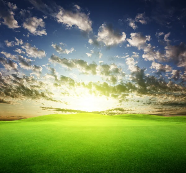 Champ d'herbe et ciel de coucher de soleil parfait — Photo