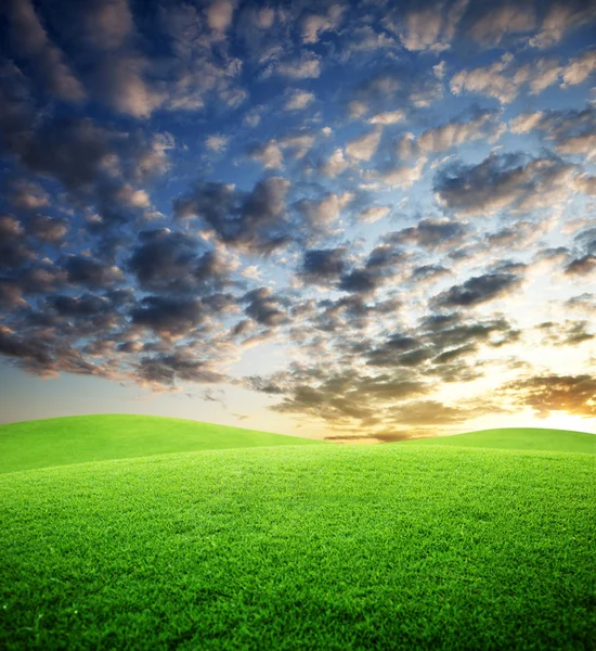 Çim ve mükemmel günbatımı gökyüzü — Stok fotoğraf