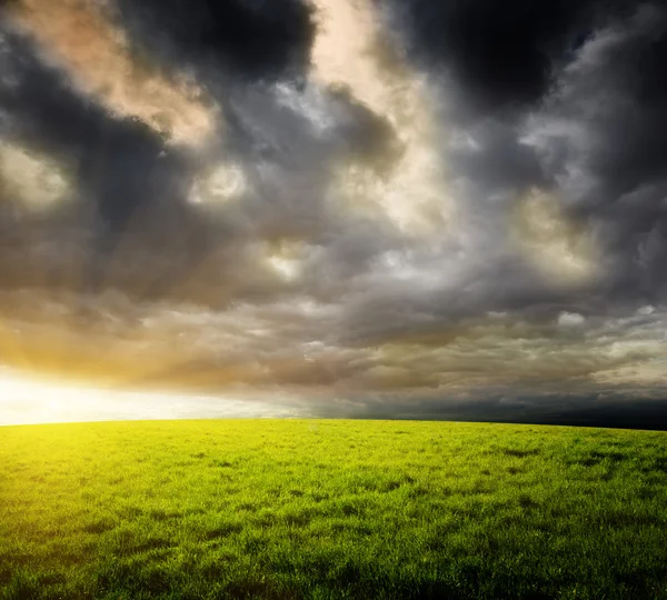 stock image Field of grass and sunset