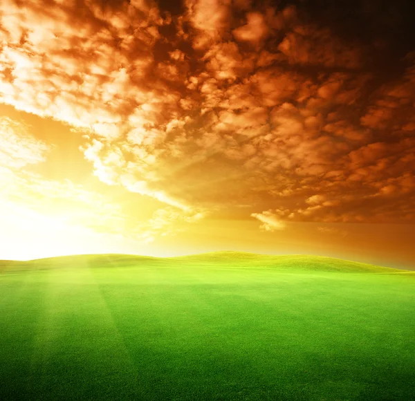 Campo de grama e céu perfeito por do sol — Fotografia de Stock