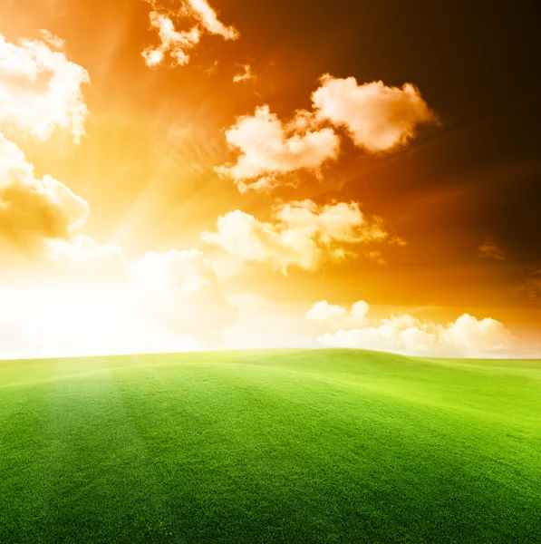 Field of grass and sunset — Stock Photo, Image