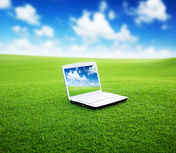 Ноутбук на зеленом поле — стоковое фото