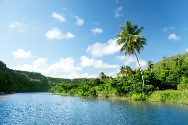Tropiska floden — Stockfoto