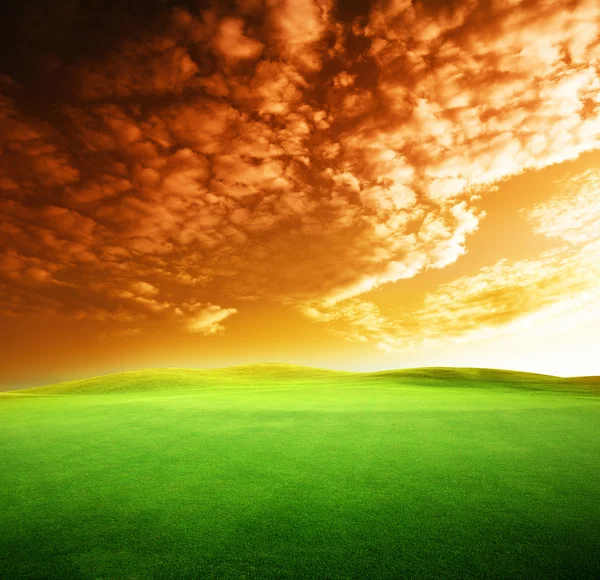 Pole trawy i zachody słońca — Zdjęcie stockowe