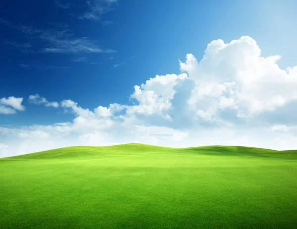 Gräsfält och perfekt himmel — Stockfoto