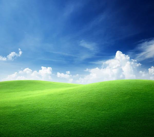 Campo de hierba y cielo perfecto —  Fotos de Stock