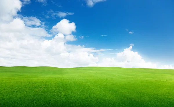 Поле трави і досконале небо — стокове фото