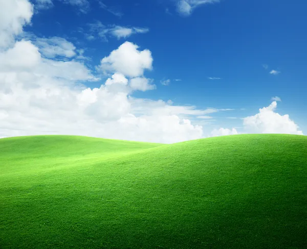 Pole zielonej trawy i błękitne niebo — Zdjęcie stockowe