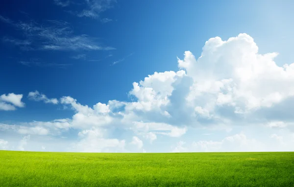 Champ d'herbe et ciel parfait — Photo