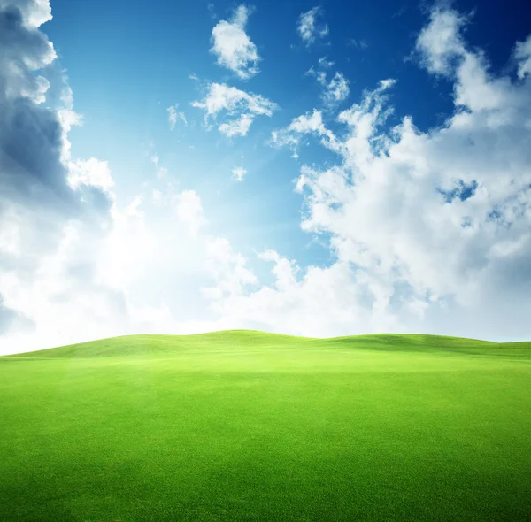 Campo d'erba e cielo perfetto — Foto Stock